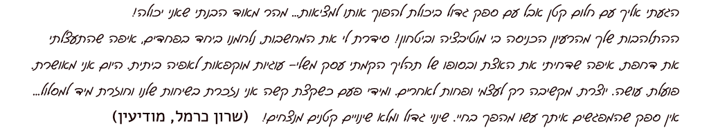 המלצה מאת שרון כרמל